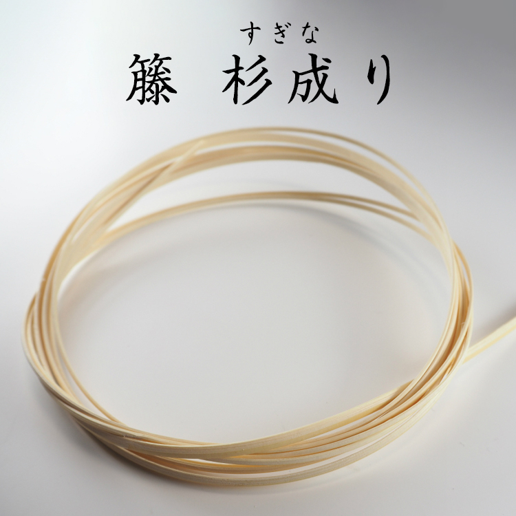 BTou_sugi