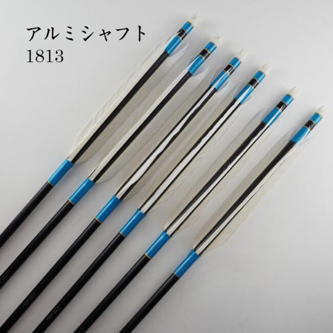 OAA1813